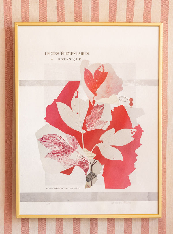 Collage Les Fleurs Pressées - Moyen format - 
Feuilles de pivoine