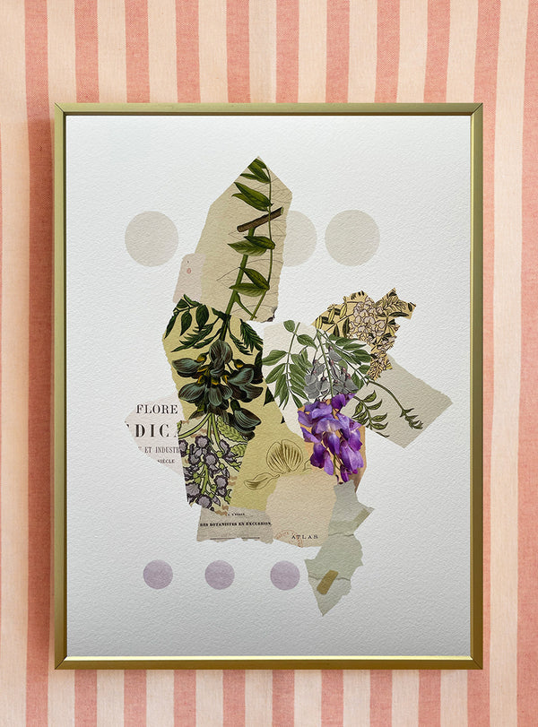 Collage Les Fleurs Pressées - Moyen format - Glycine
