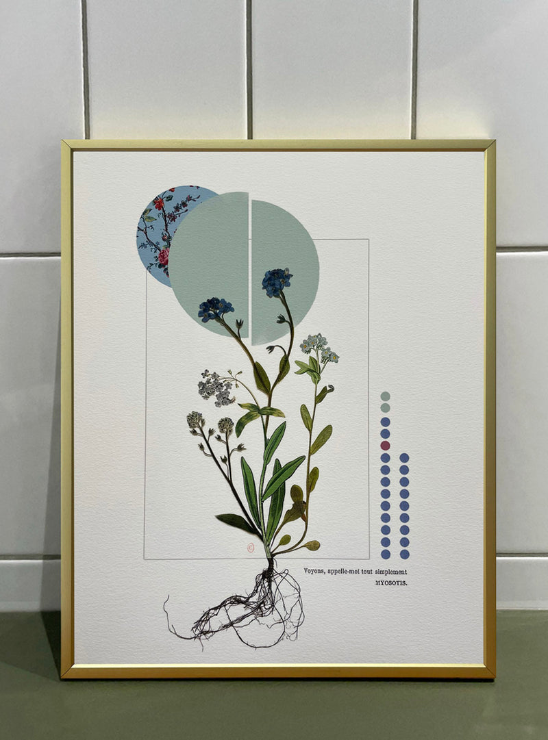 Forget-me-not - Les Fleurs Pressées Collage - Small Format