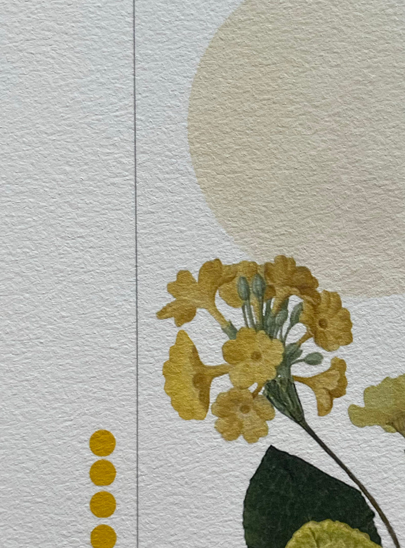 Primevère jaune - Collage Les Fleurs Pressées - Petit format