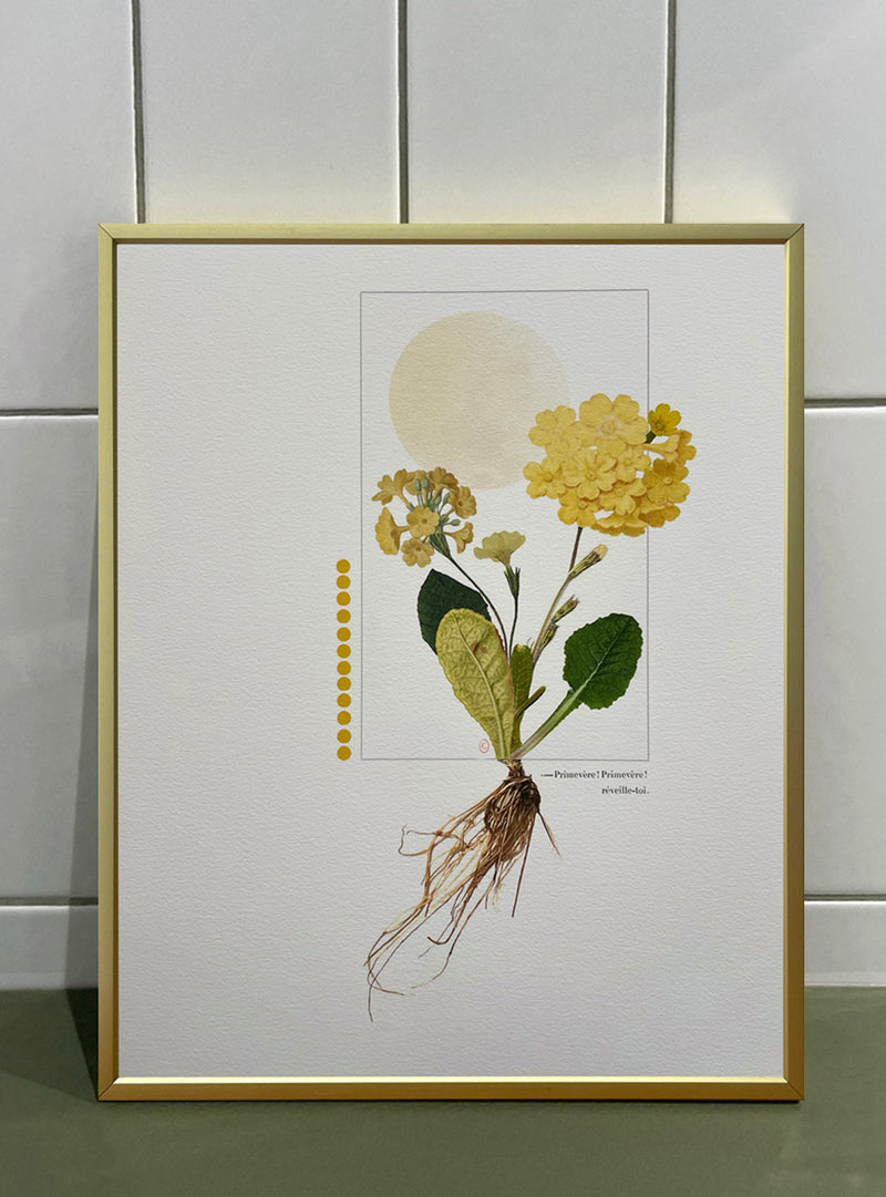 Yellow Primrose – Les Fleurs Pressées Collage – Small Format