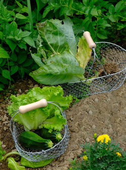 Harvest Basket Duo