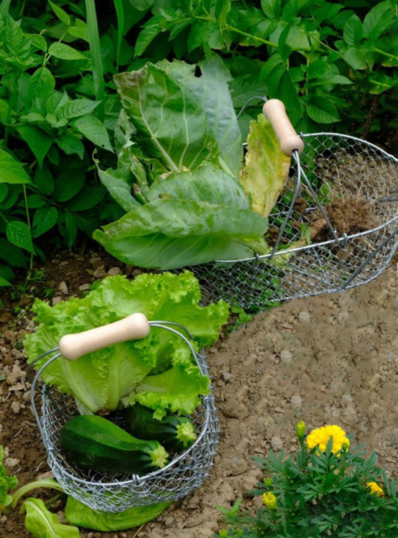 Harvest Basket Duo