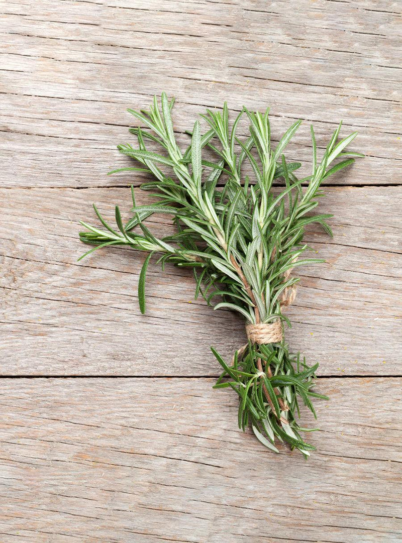 Collection de graines à semer - Herbes méditerranéennes