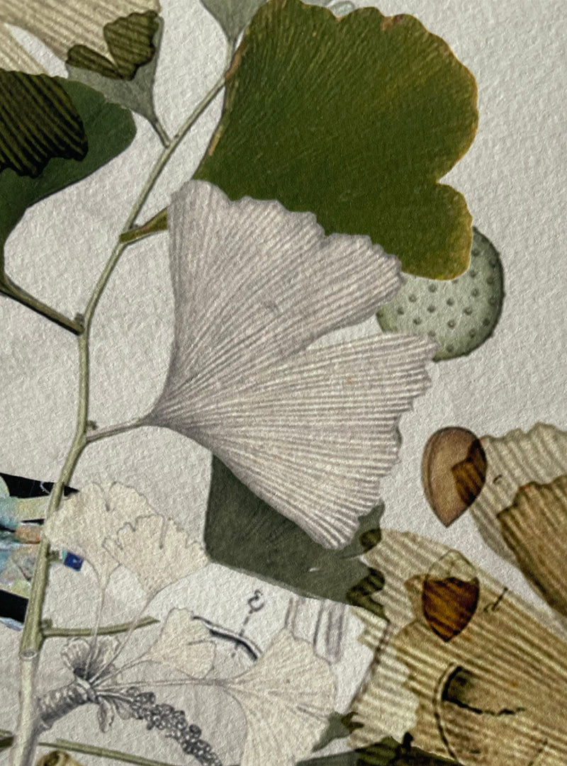 Ginkgo – Les Fleurs Pressées Collage – Small Format