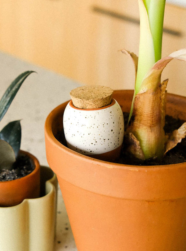 Olla en terre cuite blanc grainé - Irrigation plantes en pot