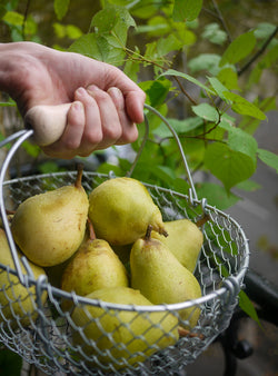 Small Garden Basket - Length 32 cm