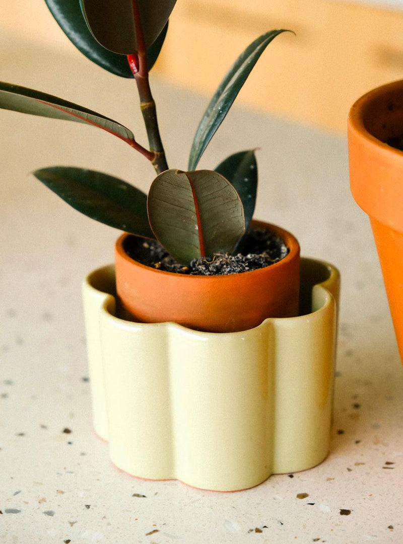 Self-watering Plant Pot - Sage Green