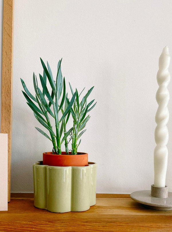 Self-watering Plant Pot - Sage Green