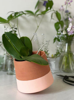 Spinning Top Handmade Terracotta Pot - Pink