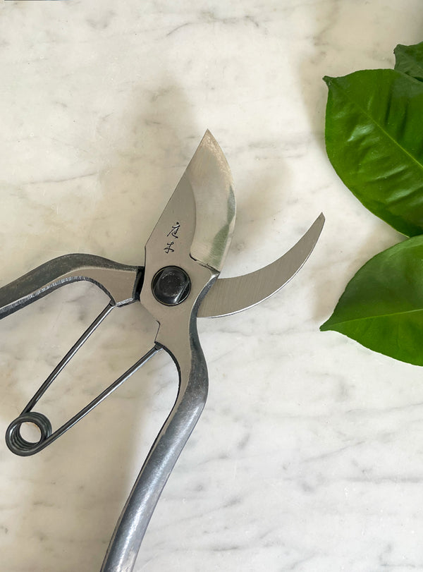 Pro Japanese Secateurs