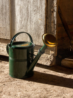 Arrosoir - 5L - vert