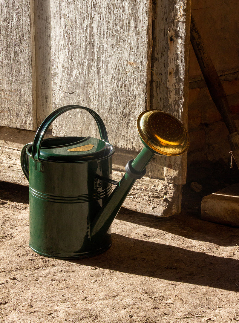 Arrosoir - 5L - vert