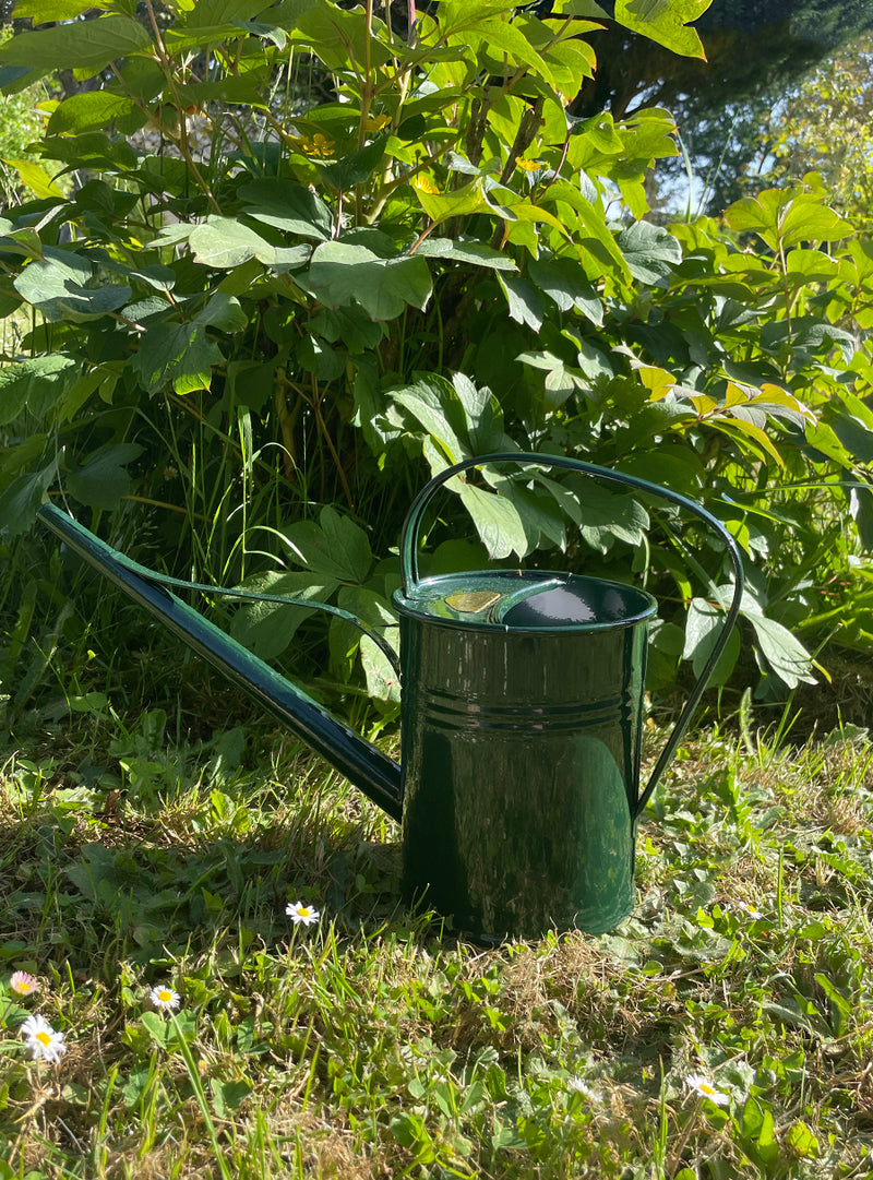 Metal Watering Can 1.5L - Green