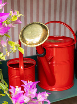 Metal Watering Can 5L - Red