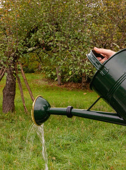 Large Metal Watering Can 9L - Green