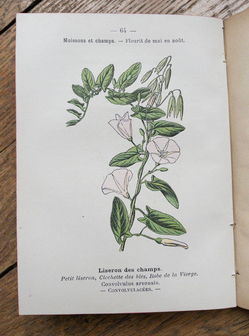 Livre ancien Atlas de poche des plantes série I-Jardiniste-Jardiniste